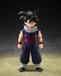 S.H.Figuarts Son Gohan (Z-Fighters) Limited Edition with Z-Fighters Group Base Ver. A